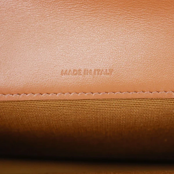 CELINE Triomphe Canvas Wallet On Strap Brown