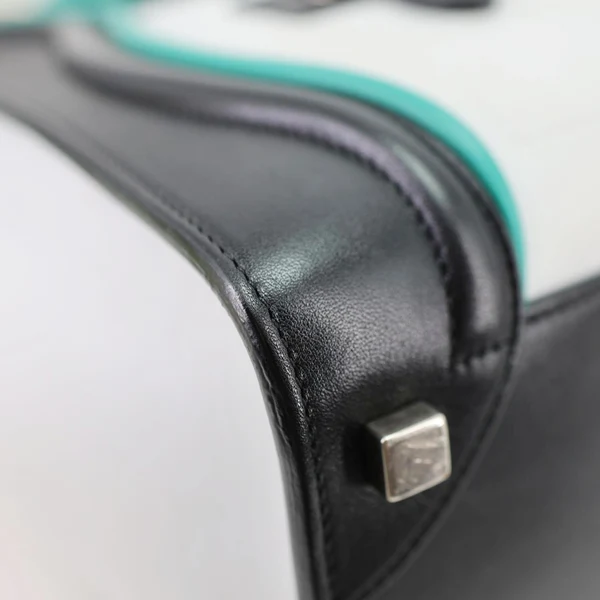 CELINE Micro Luggage Calfskin Leather Tote Bag Tri-Color