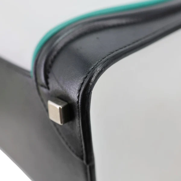 CELINE Micro Luggage Calfskin Leather Tote Bag Tri-Color