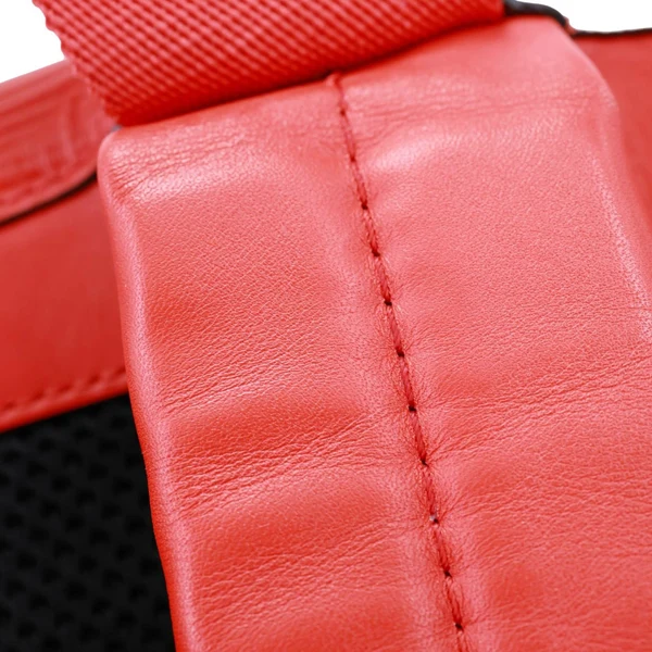 LOUIS VUITTON World Cup Apollo Epi Leather Backpack Red