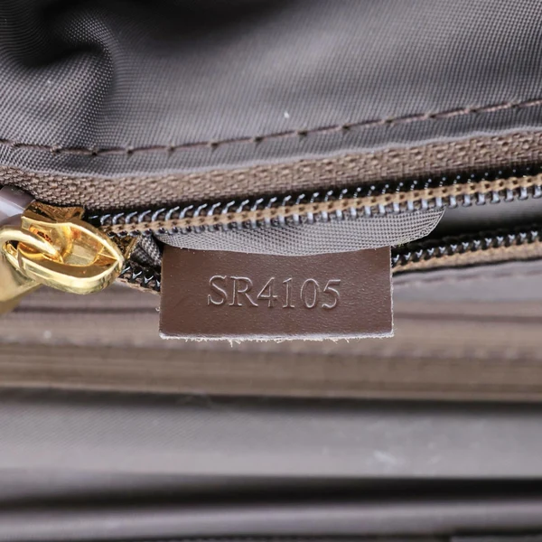 LOUIS VUITTON Pegase 55 Business Luggage Damier Ebene Travel Bag Brown