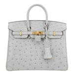 HERMES Birkin 25 Ostrich Leather Satchel Bag Gris Perle