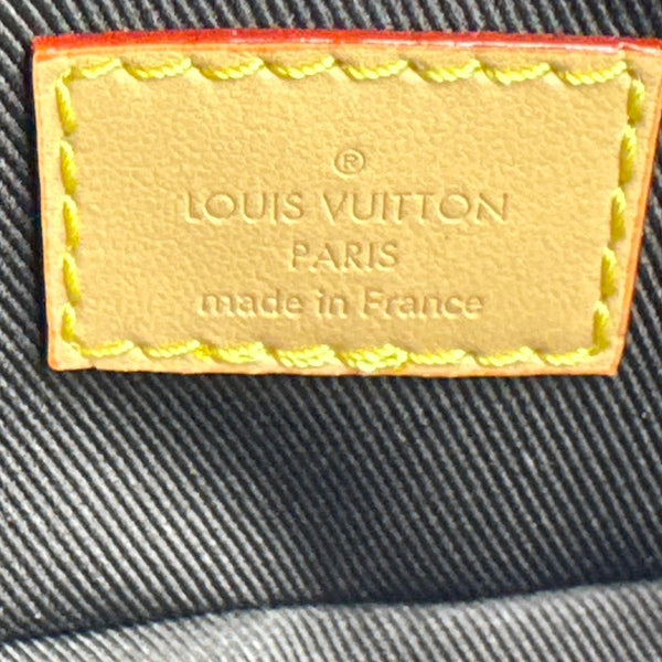 LOUIS VUITTON X Tyler The Creator Dog On Strap Monogram Craggy Canvas Crossbody Bag Brown