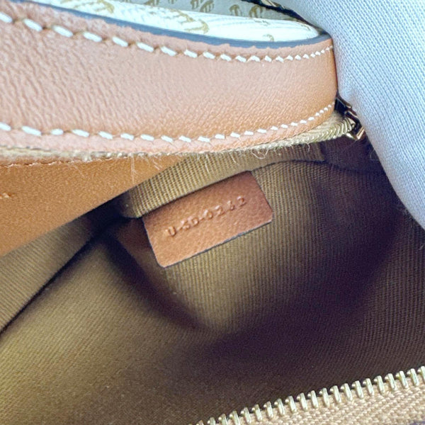 CELINE Triomphe Canvas Round Purse On Strap Crossbody Bag White